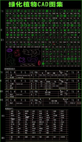 原創園林綠化植物CAD圖集-版權可商用